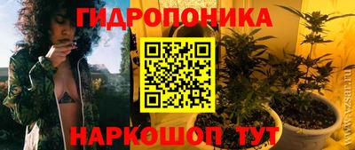 мяу мяу мука Кимры