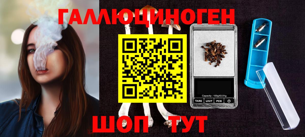 Псилоцибиновые грибы GOLDEN TEACHER Курчалой